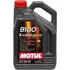 5W40 X 5 LTS MOTUL 8100