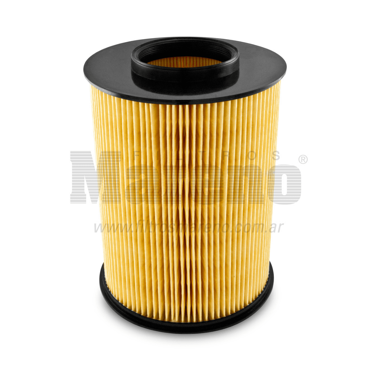 FILTRO AIRE FOCUS